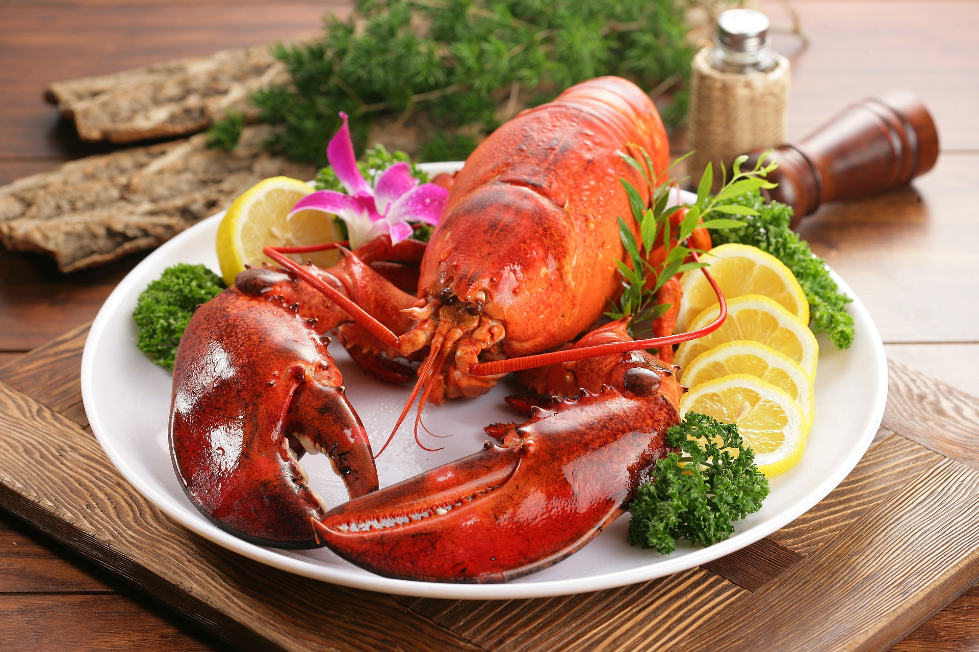Have lobster and more when you enjoy Fredericksburg Dining