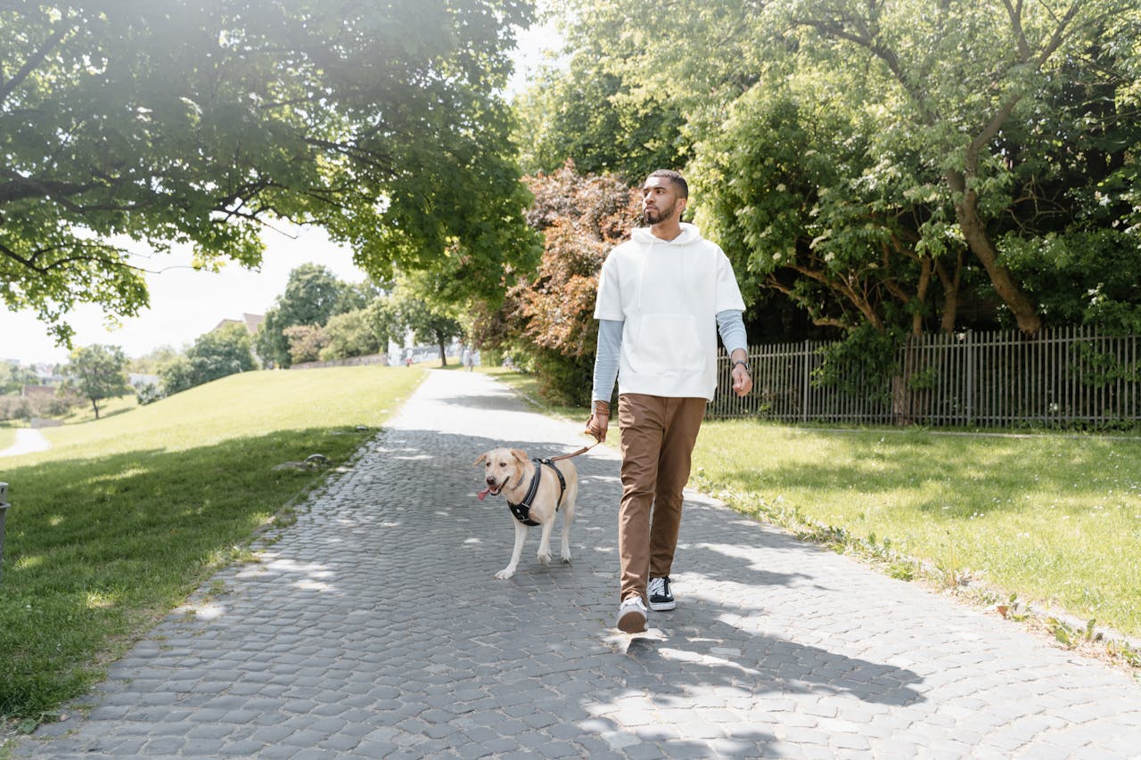 A man walking a dog in the park