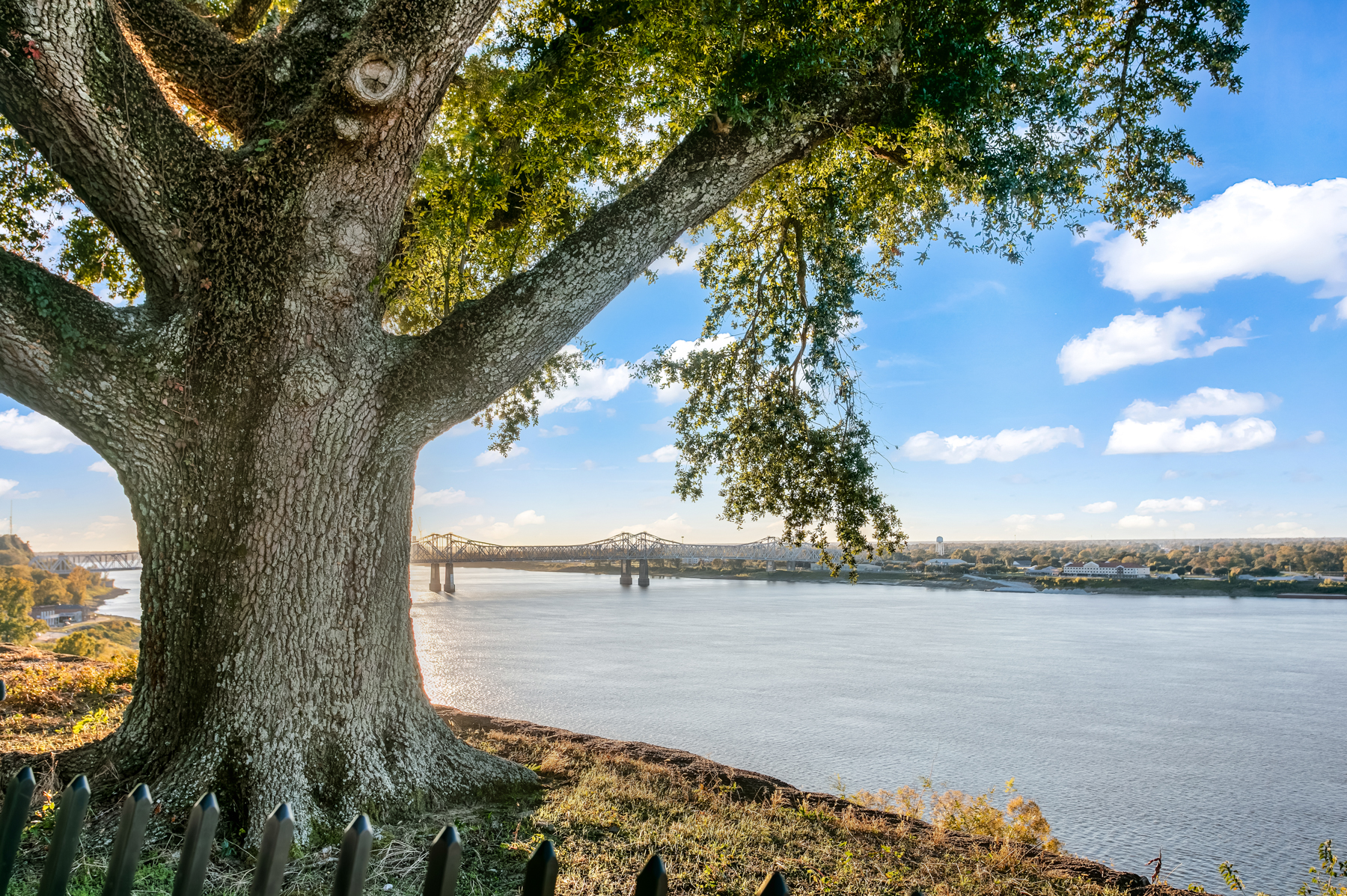 Sleeps 4+ Natchez, MS Rentals